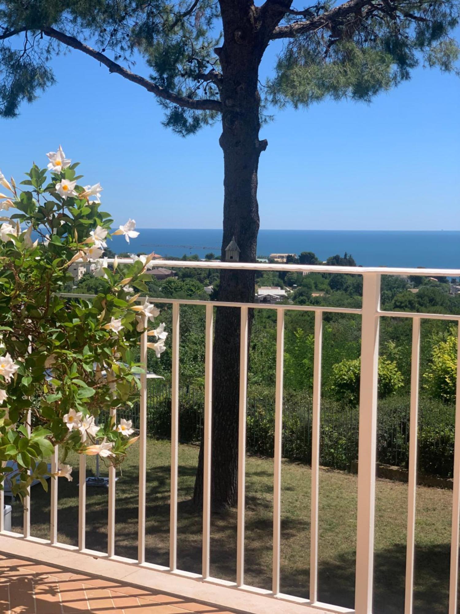 Bed and Breakfast Tra Gli Alberi E Il Mare Sirolo Exterior foto
